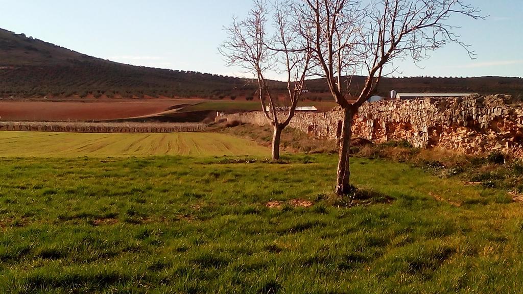 Hotel Rural La Vida De Antes Consuegra Dış mekan fotoğraf